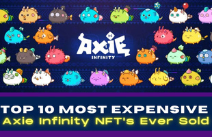 Top 10 vật phẩm Axie Infinity đắt nhất từng được bán (P.1)