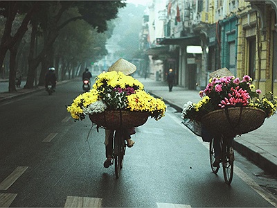 Tháng 11, Hà Nội có những con đường hoa đẹp đến mức không chụp hình chỉ có 