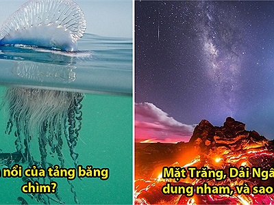 17 hình ảnh ngoạn mục thể hiện sức mạnh của thiên nhiên, sứa khổng lồ trông thật đáng sợ