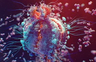 Tìm hiểu về Virus – Những thực thể “sống lỗi” nhất trên Trái Đất