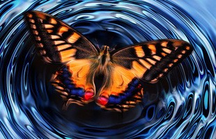 'Hiệu ứng cánh bướm' là sai, các nhà khoa học đã chứng minh được điều này ở cấp độ lượng tử