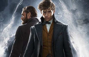 Fantastic Beast 2: Mối quan hệ của Dumbledore và Newt Scamander sẽ khác với Harry Potter như thế nào?