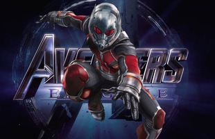 Sự trở lại của Người Kiến có ý nghĩa gì với các siêu anh hùng trong Avengers: Endgame?
