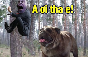 Comics Trivia: Có thể bạn chưa biết, Thanos đã từng bị đánh bại bởi một... chú chó