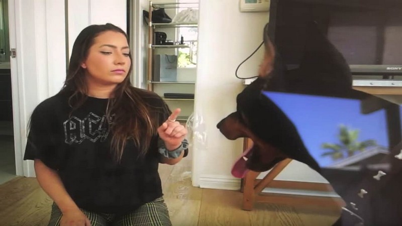 Nữ YouTuber bị cảnh sát ‘hỏi thăm’ vì ‘lỡ tay’ đăng clip ngược đãi động vật lên mạng