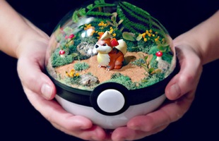 Những khu vườn Pokeball trong lòng bàn tay khiến fan ruột Pokemon thích mê từ cái nhìn đầu tiên