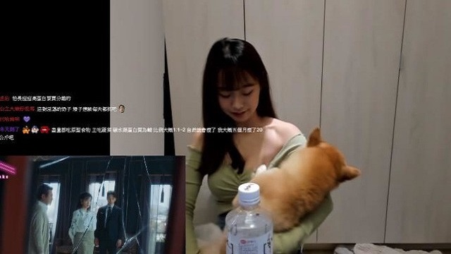 Nữ streamer suýt lộ hàng vì chú cún cưng không chịu 'hợp tác'