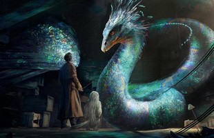 Harry Potter: Top 5 loại 