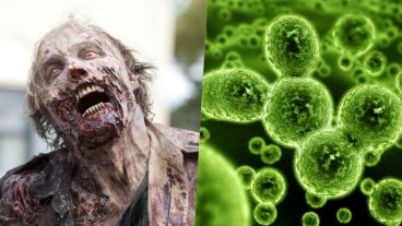 Những đại dịch zombie trong đời thực – Không nên xem khi đang ăn uống - PC/Console