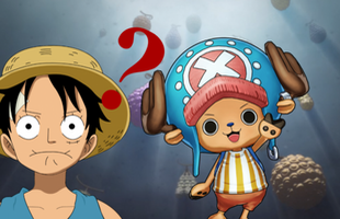 Giả thuyết One Piece: Nếu một người 