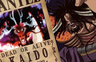 One Piece: Những bằng chứng cho thấy 