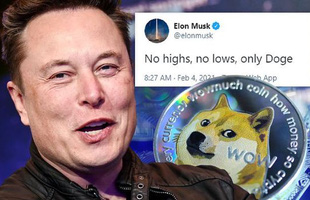 Bạn gái bảo Elon Musk hay 
