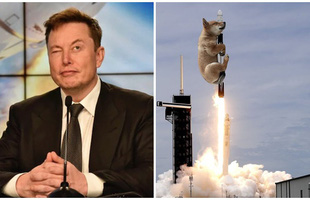 Elon Musk lại 