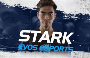 Stark và Yijin chính thức khỏi EVOS Esports