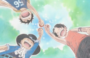 One Piece: Tình anh em của Luffy và những mối quan hệ để lại ấn tượng sâu sắc trong lòng fan