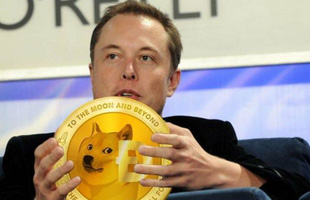 Elon Musk đăng 1 bức biếm họa, tiền ảo Dogecoin tăng 248% chỉ sau 1 ngày