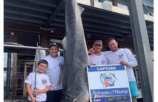 Cậu bé 8 tuổi bất ngờ câu được cá mập hổ nặng 314 kg, dự đoán phá cả kỷ lục thế giới cách đây 22 năm