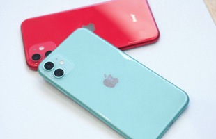 iPhone 11 Lock giá rẻ tràn về Việt Nam - nhưng tại sao bạn không nên mua?