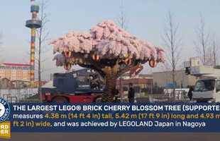 Kỷ niệm sinh nhật 1 tuổi, Legoland cho ra đời cây hoa anh đào bằng Lego lớn nhất thế giới