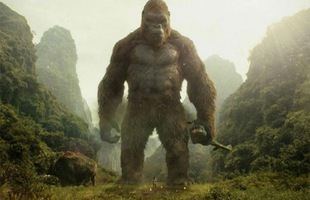 Tìm hiểu về sức mạnh của Kong, 