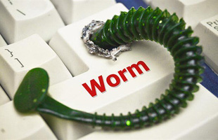 Worm là gì? Tại sao chúng lại nguy hiểm với máy tính?