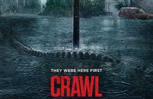 Loạt phim thảm họa dành cho những người yêu thích “Crawl: Địa đạo cá sấu tử thần”