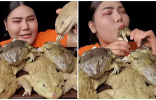 Làm clip ăn Mukbang trên sóng, nữ streamer khiến người xem khiếp sợ, chuyển kênh khi ăn ếch luộc nguyên con