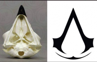 Có thể bạn chưa biết: Logo của Assassin’s Creed chính là một cái sọ đại bàng