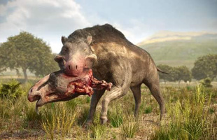 Rùng rợn truyền thuyết về ‘Lợn địa ngục’, quái vật có thực từng xuất hiện tại Bắc Mỹ