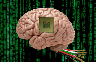 Cấy chip AI vào não có thể khiến bạn mất trí
