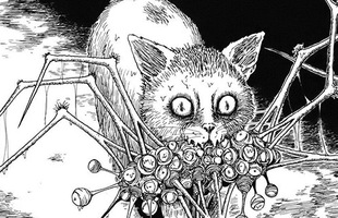Manga kinh dị của Ito Junji: Những câu chuyện đầy ám ảnh đọc một lần là nhớ cả đời