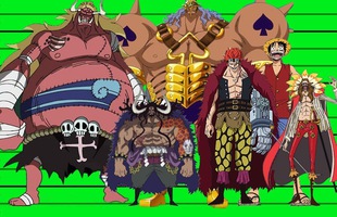 One Piece: So sánh chiều cao các nhân vật, có những người tưởng thấp bé nhẹ cân ai ngờ lại cao không tưởng