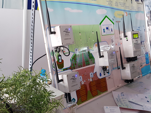 E-Sensor: giám sát, cảnh báo và điều khiển tự động cho vườn rau thủy canh