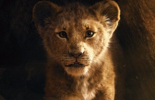 Phấn khích với Trailer mới nhất của Lion King nhưng đây mới là điều khiến nhiều người tranh cãi về Vua Sư Tử