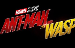 Đừng vội mừng, Ant-Man And The Wasp không phải là phim siêu anh hùng hài kịch lãng mạn như bạn tưởng đâu
