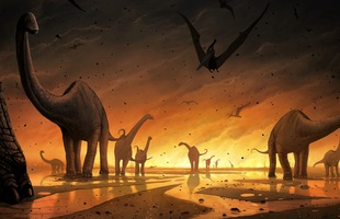 8 sự kiện đại tuyệt chủng đã suýt xóa sổ sự sống ra khỏi Trái Đất: Liệu tiếp theo có phải con người?