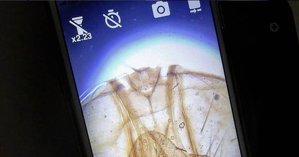 Camera smartphone có thể soi ra vi khuẩn, 