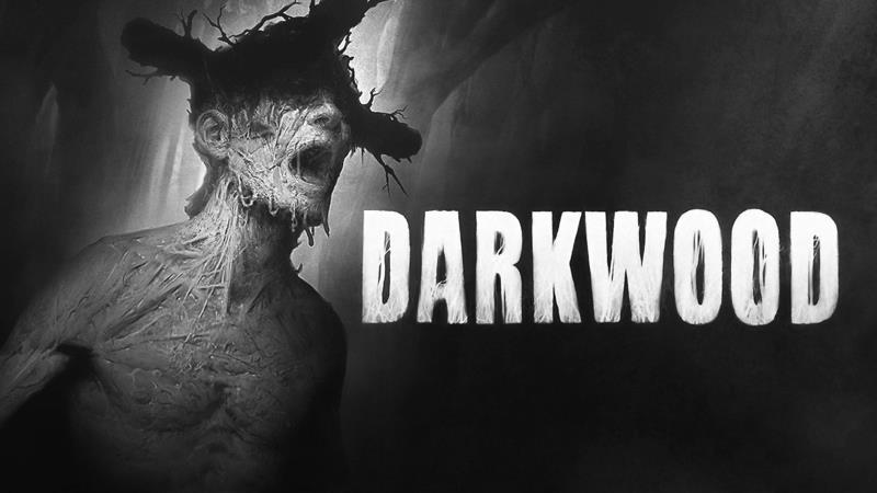 Tuy là game 2D nhưng Darkwood lại trở nên rất ám ảnh, đáng sợ