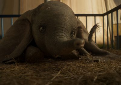 Đánh giá Dumbo: Bộ phim đầy cảm xúc, hấp dẫn với trẻ em nhưng thiếu đi ‘chất dị’ của Tim Burton