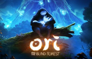 Ori and the Blind Forest: Làm bạn với khu rừng đấy tính nghệ thuật và nhân văn