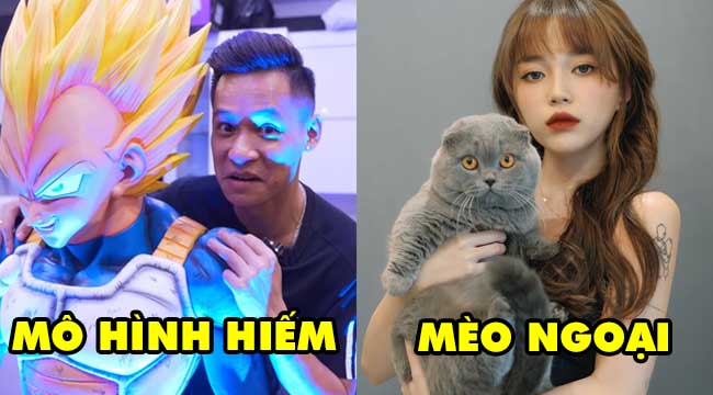 TOP 6 sở thích Bá Đạo của các streamer đình đám Việt Nam: Độ Mixi, Misthy, PewPew