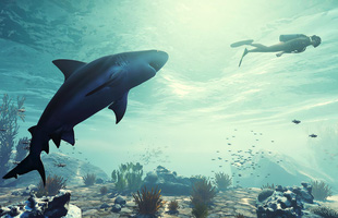 Xuất hiện tựa game giả lập cá mập đi tấn công mọi thứ, thậm chí cả cắn cáp quang