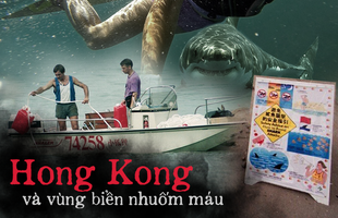 Vùng biển nhuốm máu: Chương sử kinh hoàng với người Hong Kong, nơi có nhiều người bị cá mập cắn chết bậc nhất hành tinh