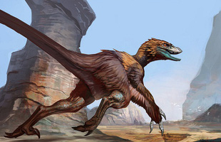 Tìm hiểu về Deinonychus: Loài khủng long sở hữu cú đá chết người