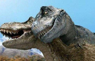 Nghiên cứu mới cho thấy khủng long bạo chúa Tyrannosaurus dựa vào giác quan thứ sáu để 