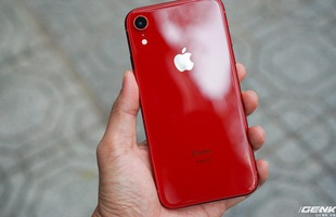iPhone XR vừa về Việt Nam đã có khách mua giá 23,9 triệu, bước chân ra khỏi cửa hàng xong thì giá chỉ còn 20,9 triệu